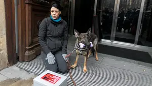 Navarra descarta el uso de perros de protección para víctimas de violencia machista por su "respuesta agresiva"
