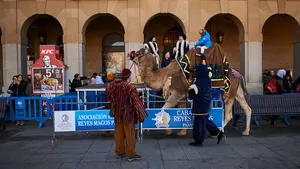 Llegan a Pamplona los camellos y los abanderados de los Reyes Magos: horarios y recorridos