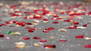 Aplazan ocho bodas que se iban a celebrar en la Ciudadela de Pamplona y otras 14 están en el aire