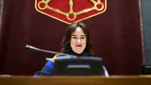 El dinero del grupo Podemos-Orain Bai podría volver a la tesorería de la Comunidad foral