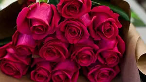 Miles de rosas inundan las redes sociales tras el nuevo ataque a la familia de Jes&uacute;s Ulayar, asesinado por ETA