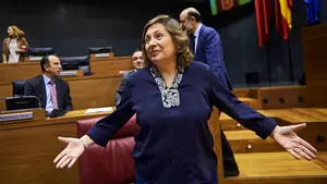 Bildu se sale con la suya y el cuatripartito vuelve a unirse para aprobar su reforma del mapa local