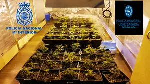 Dos detenidos por montar un 'laboratorio' clandestino de droga en el Casco Viejo de Pamplona
