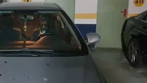 Bomberos navarros rescatan a un perro dentro de un vehículo: "Si tardamos un poco más, arranca el coche y se lo lleva"