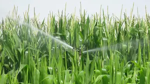 Los agricultores navarros tendrán una gran ayuda: un sistema tecnológico revolucionario