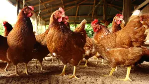 Alertan que el cambio en las cooperativas navarras pone bajo sospecha a todo el sector sin dar soluciones