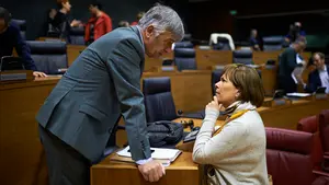 Geroa Bai acusa al PSN de "disfrazarse de progresista y foralista" con la llegada de las urnas