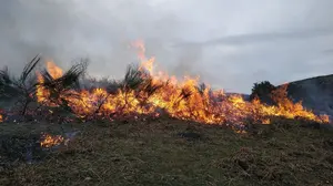 Los bomberos forestales de Navarra piden refuerzos y mayor concienciación ante el aumento de incendios