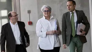 La exconsejera Lourdes Goicoechea dice que le pareció "extraño" que Ayerdi decidiera apoyar a Davalor