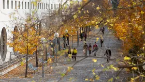 La Universidad Pública de Navarra inicia el proceso electoral para la designación de rector