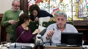 El pleno suma mayoría para pedir a Asirón que no derribe la pasarela de Labrit por interés electoral