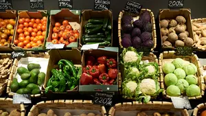 Un pueblo navarro apuesta por el comercio local 'regalando' bonos de compra para gastar en establecimientos