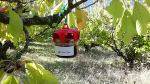 Una herramienta controla más de cien plagas y enfermedades que amenazan los cultivos navarros