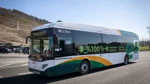 "Autobuses eléctricos, gratuitos y pequeños": instan a implantar nuevas líneas por el Casco Antiguo