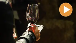 "El paraíso de los vinos navarros": regresa el 'Vinofest' al Baluarte de Pamplona