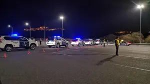 Detenidos dos hombres, uno de ellos vecino de Etxalar, como presuntos autores del robo de un vehículo