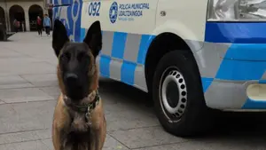 Perros contra la droga: la Policía Municipal crea en Pamplona un equipo de guías caninos