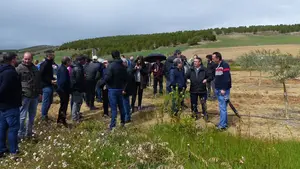 Agricultores navarros se reúnen para aprender técnicas en la lucha contra las malas hierbas en el olivar
