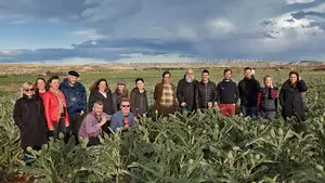 Conocer la alcachofa de Tudela: un encuentro de gastrónomos nacionales explora sus posibilidades en Tudela