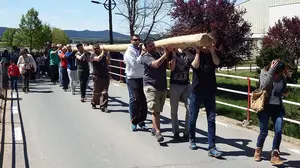 Vídeo de la tradicional fiesta de la subida del "mayo" en la localidad de Murieta (Navarra)