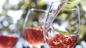 De vinos por la Ciudadela: la cata 'al fresco' para disfrutar del fin de semana en Pamplona