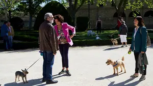 Perros en villavesas, registros de su ADN y control de excrementos: los planes de Geroa en Pamplona
