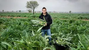 El consejo de la alcachofa de Tudela se renueva y desvela los secretos para no confundir este manjar