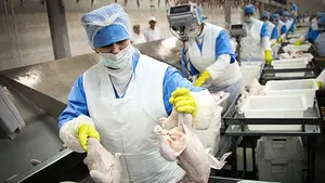 Los más de 500 falsos autónomos de UVESA en Navarra logran ser integrados dentro de la plantilla