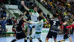 El presupuesto del Anaitasuna para la próxima temporada asciende a 740.000 euros en la liga asobal