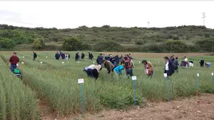 Investigadores de todo el mundo se re&uacute;nen en Pamplona para redise&ntilde;ar los sistemas de cultivo