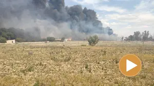Aparatoso incendio en Tudela: una radial empleada en un huerto hace 'arder' las afueras de la capital ribera