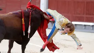 Román, cogido muy grave por un toro de Baltasar Ibán en la corrida de San Isidro en Las Ventas