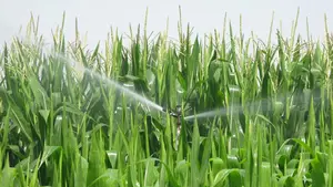 Un gran cambio para la agricultura: una localidad navarra prueba un avance para el sector