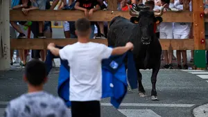 El pueblo de Navarra que celebra sus fiestas de la Juventud con vacas bravas, DJ's y un gran asado