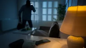 Tenían asustadas a varias localidades de Navarra: detenidos los autores de hurtos y robos con fuerza