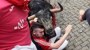 'Hornachuelo', el toro de Cebada Gago que corneó en el encierro de San Fermín, será soltado en Illescas