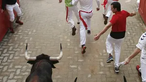 Los toros para los encierros de San Fermín 2022: las ganaderías que vendrán a Pamplona
