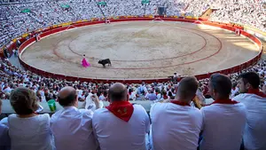 La Misericordia no descarta toros en Pamplona con restricciones si hay algún tipo de celebración en 2021