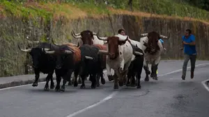 Los 1.400 pases para ver los encierrillos de San Fermín ya tienen dueños