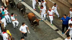 Los toros de La Palmosilla entran en cabeza y a gran velocidad a su paso por el Ayuntamiento de Pamplona