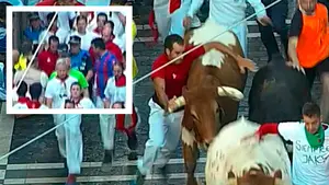 Vuelve a las andadas: se agarra al asta de un cabestro y sus multas en estos Sanfermines suben ya a 4.000 €