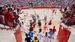 Entradas para los toros y los encierros de San Fermín: cuánto cuestan y cómo conseguirlas