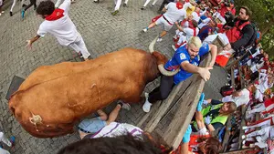Los toros para los encierros de San Fermín 2020: las ganaderías que vendrán a Pamplona a la Feria del Toro