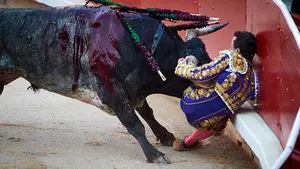 Larga vida a los toros de Miura