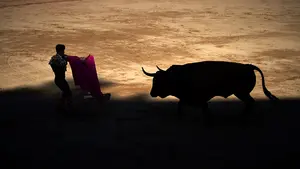Antitaurinos piden reflexionar a las peñas de San Fermín sobre las corridas de toros