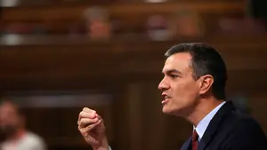 El Constitucional admite a trámite el recurso del Gobierno de Pedro Sánchez contra la Ley de Policías de Navarra 