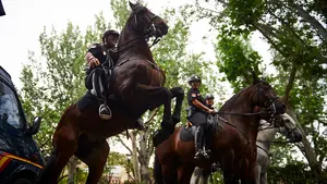 Tudela se blinda durante las fiestas de Santa Ana: tres cuerpos de policía velarán por su seguridad