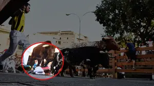 Tremendo revolcón en Tudela: los novillos de Pincha arrollan y patean a un mozo de Cascante en la curva