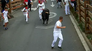 El toro 'Pajarón' de La Palmosilla impone su ley en el tercer encierro de Tudela: cinco atendidos sin heridas por asta