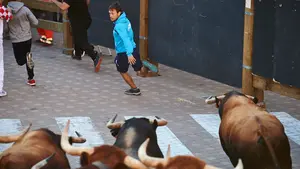 Momentos de tensión con los fugaces toros de Osborne: las imágenes del cuarto encierro de fiestas de Tudela 2019